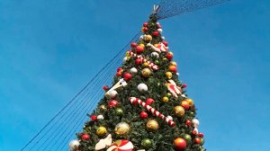 Владикавказ украсили к Новому году