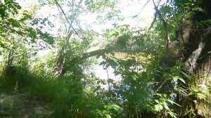 Я шол по темным коридорам