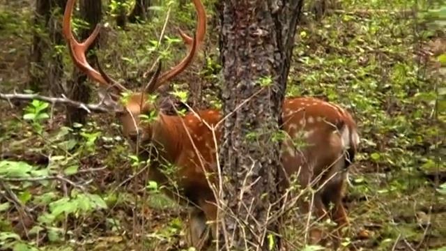 2009.09.10 Владивосток, Находка, ч.46