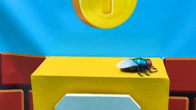 Настя и папа нашли секретную комнату [get.gt]