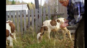 1-Проект -п.Гыркашор 2016г-03