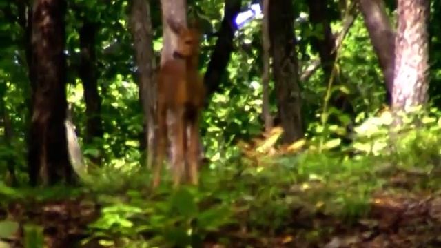 2009.09.10 Владивосток, Находка, ч.32