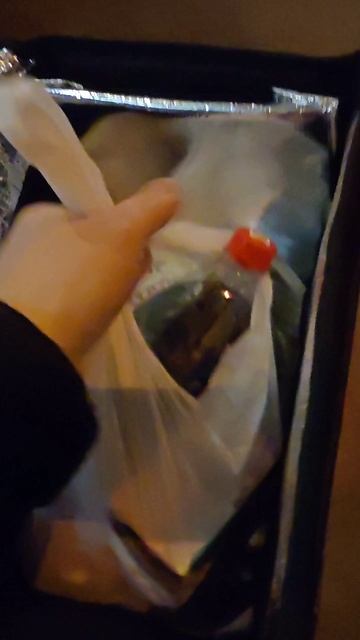 ХОЛОДНО НО КАЙФОВО! ЭЛЕКТРОВЕЛИК ЯНДЕКС ДЛЯ ДОСТАВКИ смотреть онлайн