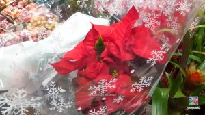 🎄В ЛЕНТЕ ВСЁ ДЛЯ НОВОГО ГОДА😻 ОБЗОР ИЗ МАГАЗИНА! декабрь 2025