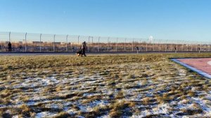 Отл. Black Magic Of The Sun YASMINA +++ №59. САНКТ-ПЕТЕРБУРГ 12 декабря`25 Моно немецких овчарок