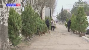 Открытие ёлочных базаров