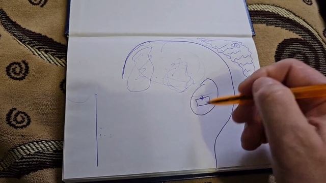 Как разум блокирует атаки подселённого ума