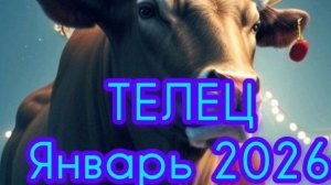 ТЕЛЕЦ ♉ Январь 2026 года. Гороскоп и Расклад Таро
