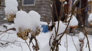 Вот что получилось.Какие успехи. Саяногорска Хакасия