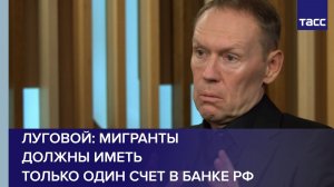Луговой: мигранты должны иметь только один счет в банке РФ