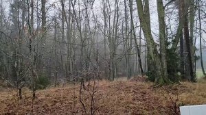 Погода пасмурная в Выборге.