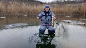 первый #лед #рыбалка на малой речке открыл сезон #окунь #щука #зима #топ