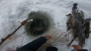 Поймал осетра! Рыбалка с отличным уловом!