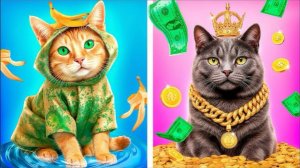 Строим ДОМИКИ для животных. Бедный или богатый ДОМ?