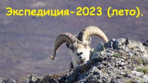 Экспедиция 2023 года - лето и осень.