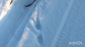 Вечерняя прогулка