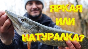 Какую ПРИМАНКУ выберет ЩУКА? Какой цвет ЛУЧШЕ ловит?  😉