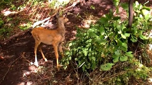 2009.09.10 Владивосток, Находка, ч.31