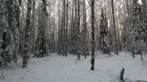 МОРОЗ! Уаз встал в лесу! Натаскали тонну рельс. Домой на мотособаке.