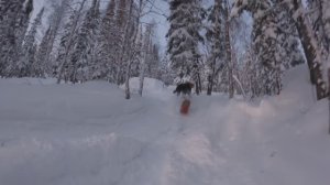 Шерегеш открытие. 25-26. Катаем  лес Елена