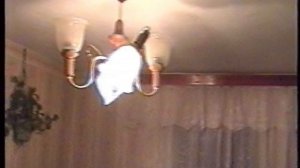 Деревня 1998-2000 застолья (от С. Емельянова видео)