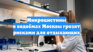 Микроцистины в водоёмах Москвы грозят рисками для отдыхающих