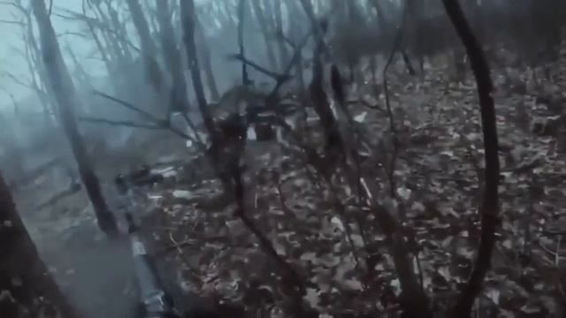 SHAMAN - ЖИВОЙ (музыка и слова: SHAMAN) СВО🙏🇷🇺 смотреть онлайн