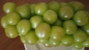 Шайн мускат описание винограда