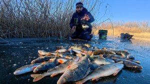 ПЕРВЫЙ ЛЁД! ОКУНЯ ТЬМА! Сумасшедший клёв на балансир и мормышку. Астрахань.