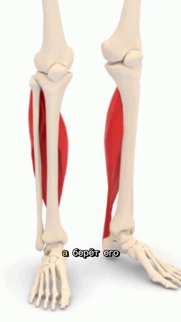 Снижение сахара