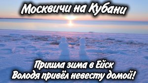 В Ейск пришла зима! Володя привёл невесту домой! Ищем семью для щенков