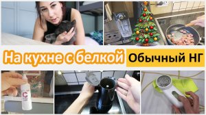На кухне с белкой. Подготовки к Новому году не будет!