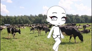 Встретили не корову а "типичную корову "👍