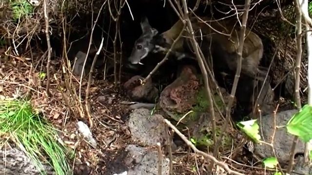 2009.09.10 Владивосток, Находка, ч.42