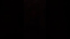 стрим сомика