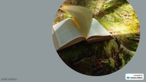 Раскрываем происхождение и значение фамилии Амбер: история и склонение