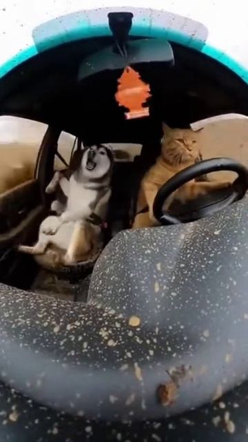 Я знаю короткий путь