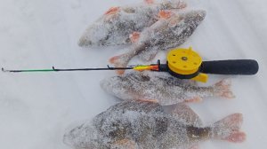 первый выход на лед 16.12.25