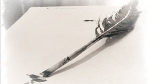 Дыхание музы Олег Юргаев и ИИ