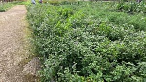 Путешествие в г. Выборг Ленинградской области. Сентябрь 2025.