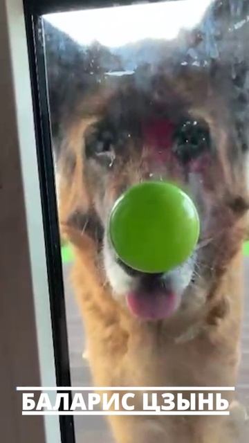 Цзынь с яблоком в стиле Магритта