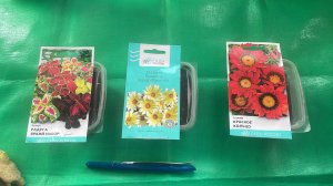 Сею Колеусы и Гацанию на рассаду. Всходы пеларгонии Рич Аут из самосборных семян