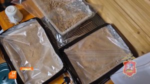 Неотвратимость наказания