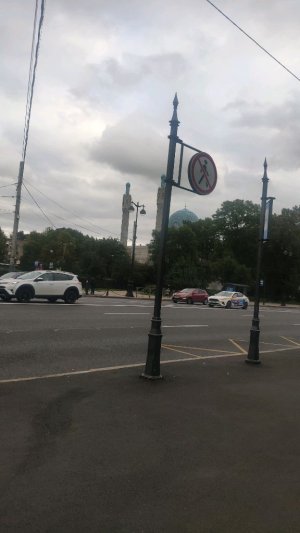 листаем книжки с тюленями 3 часть