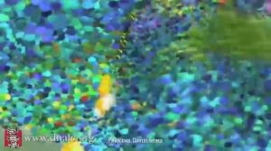 БИОЛОГИЯ ОПЕРЕЖАЕТ ЛЮБЫЕ МАШИНЫ. малекулярные моторы живых организмов внутри клеток