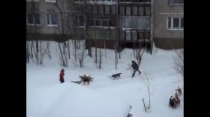 STRB l ARMA REFORGER l AS VDV RTvT #3 моменты by Morra