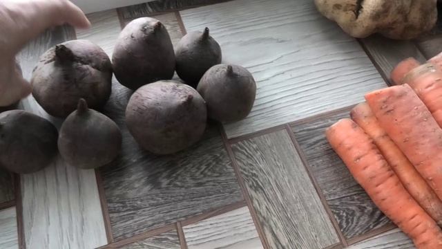 Овощи из погреба 18 декабря 2025 года, редька, репа, свекла, брюква и морковка.