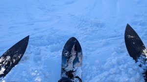 Открытие сезона - Приисковый 2025. Livingstone Sterna DST 171