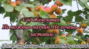 Сад Железовых. Не можешь-научим. Не хочешь - заставим!