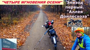 №406. "Четыре мгновения осени", эпизод первый, "Аллея Донлесхоза".